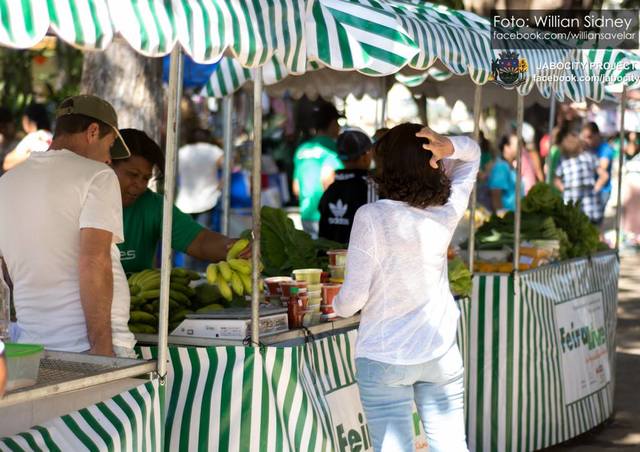 Feira (11) display